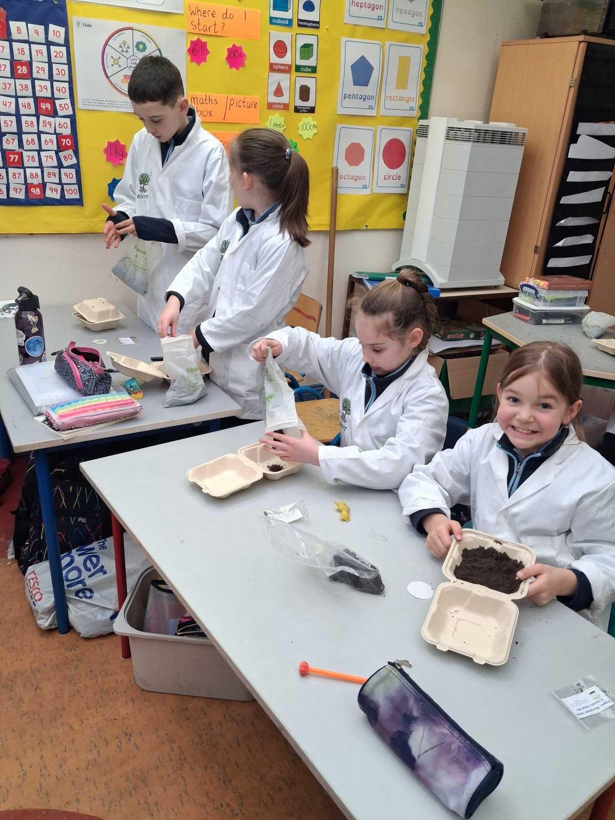 Reaching out to our Trees. ( ROOT Project)