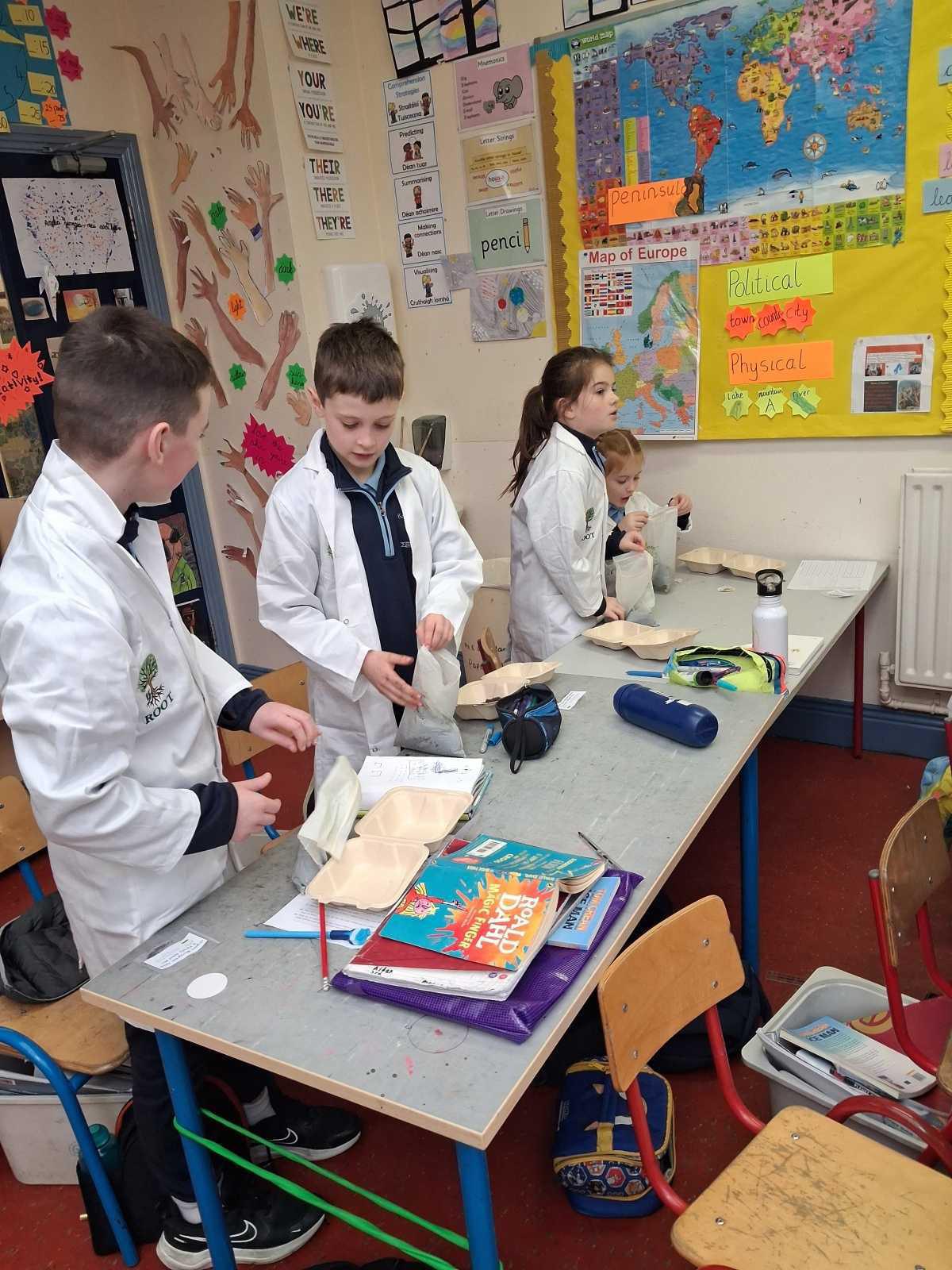 Reaching out to our Trees. ( ROOT Project) Reaching out to our Trees. ( ROOT Project)