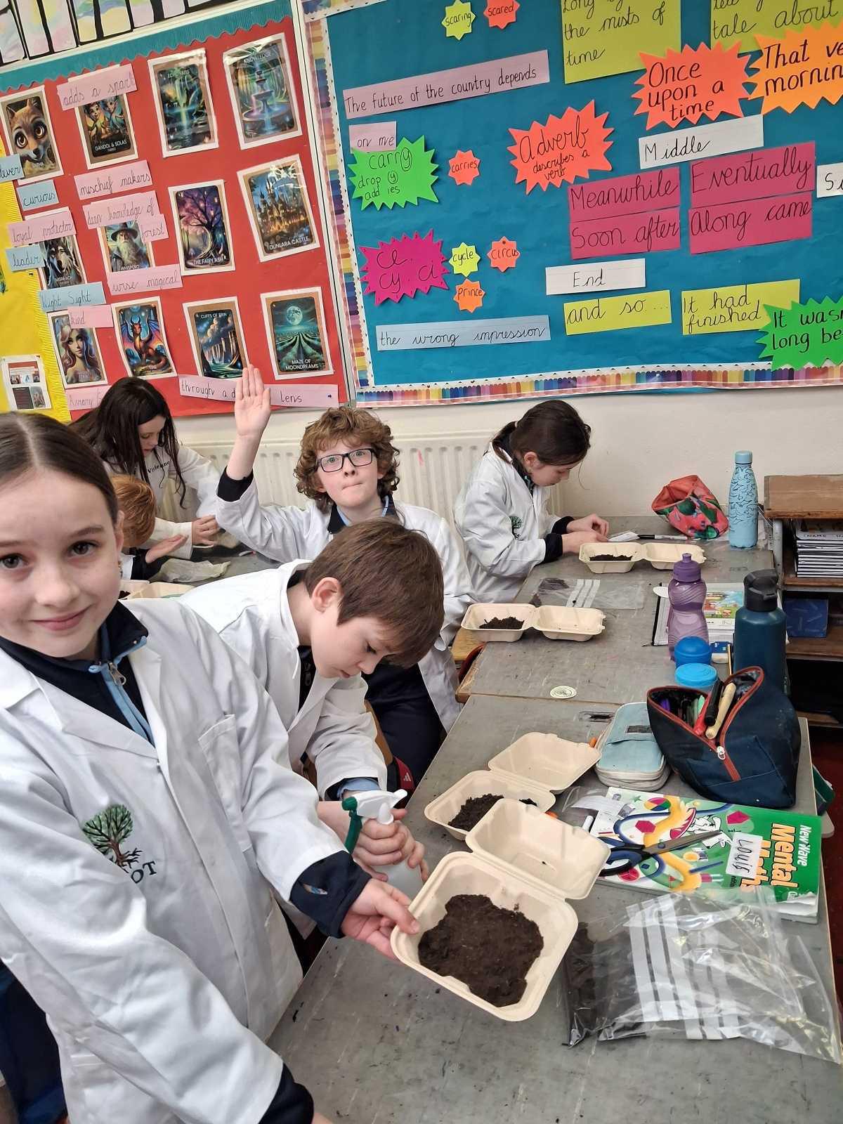 Reaching out to our Trees. ( ROOT Project) Reaching out to our Trees. ( ROOT Project)