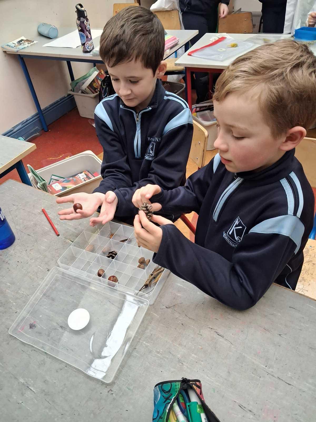 Reaching out to our Trees. ( ROOT Project)