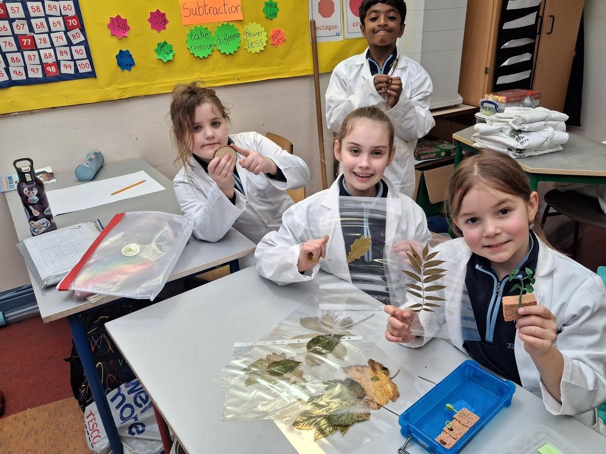 Reaching out to our Trees. ( ROOT Project)