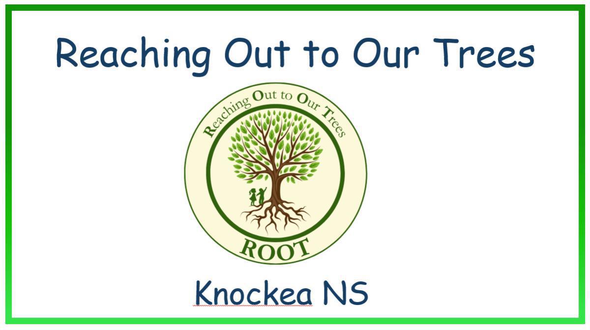 Reaching out to our Trees. ( ROOT Project)