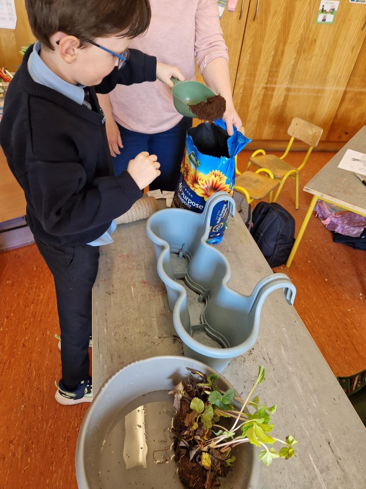 Planting - Fruit and Vegetables 