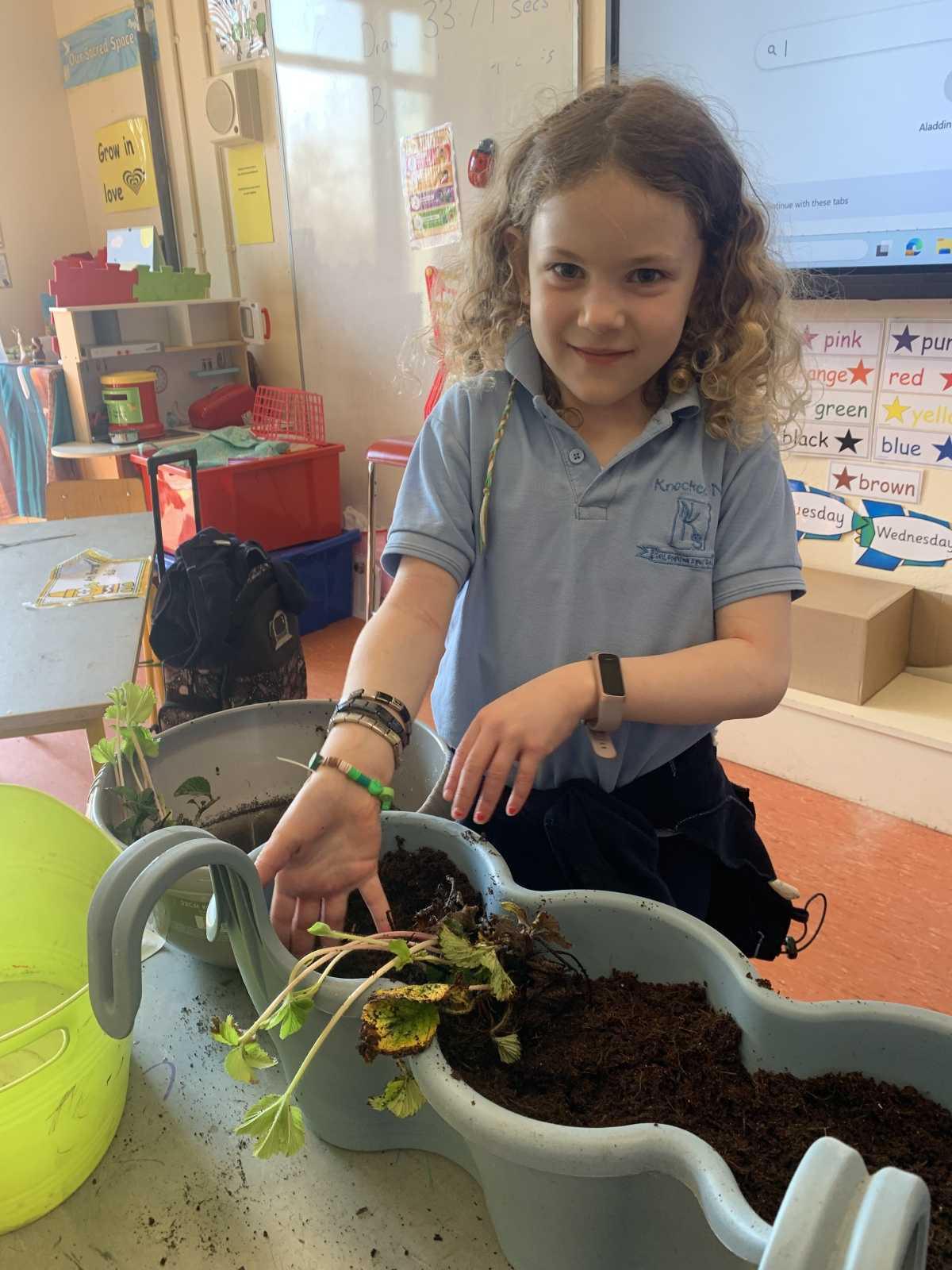 Planting - Fruit and Vegetables 