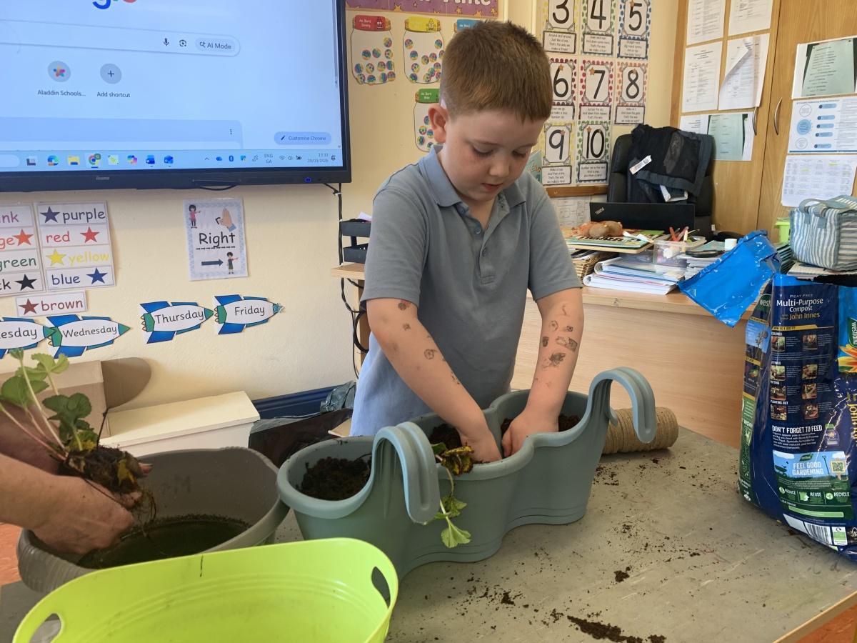 Planting - Fruit and Vegetables 