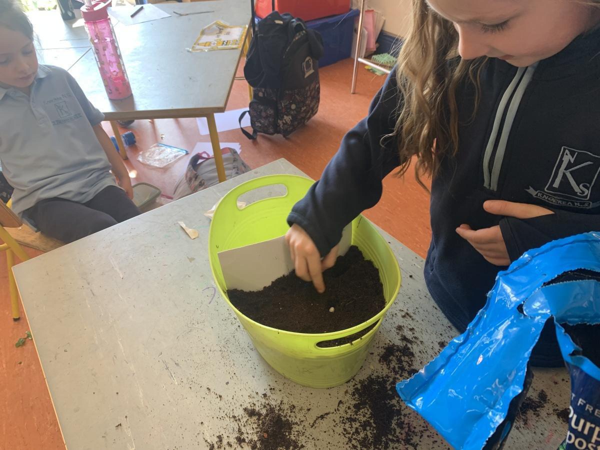 Planting - Fruit and Vegetables Planting - Fruit and Vegetables