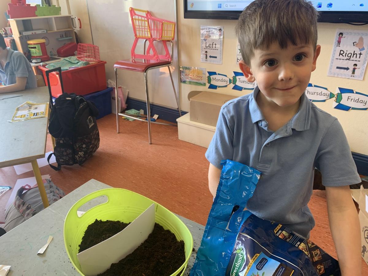 Planting - Fruit and Vegetables 