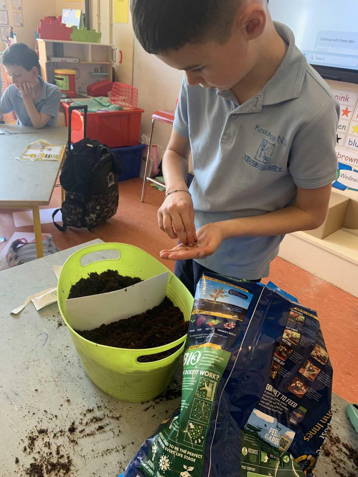 Planting - Fruit and Vegetables Planting - Fruit and Vegetables