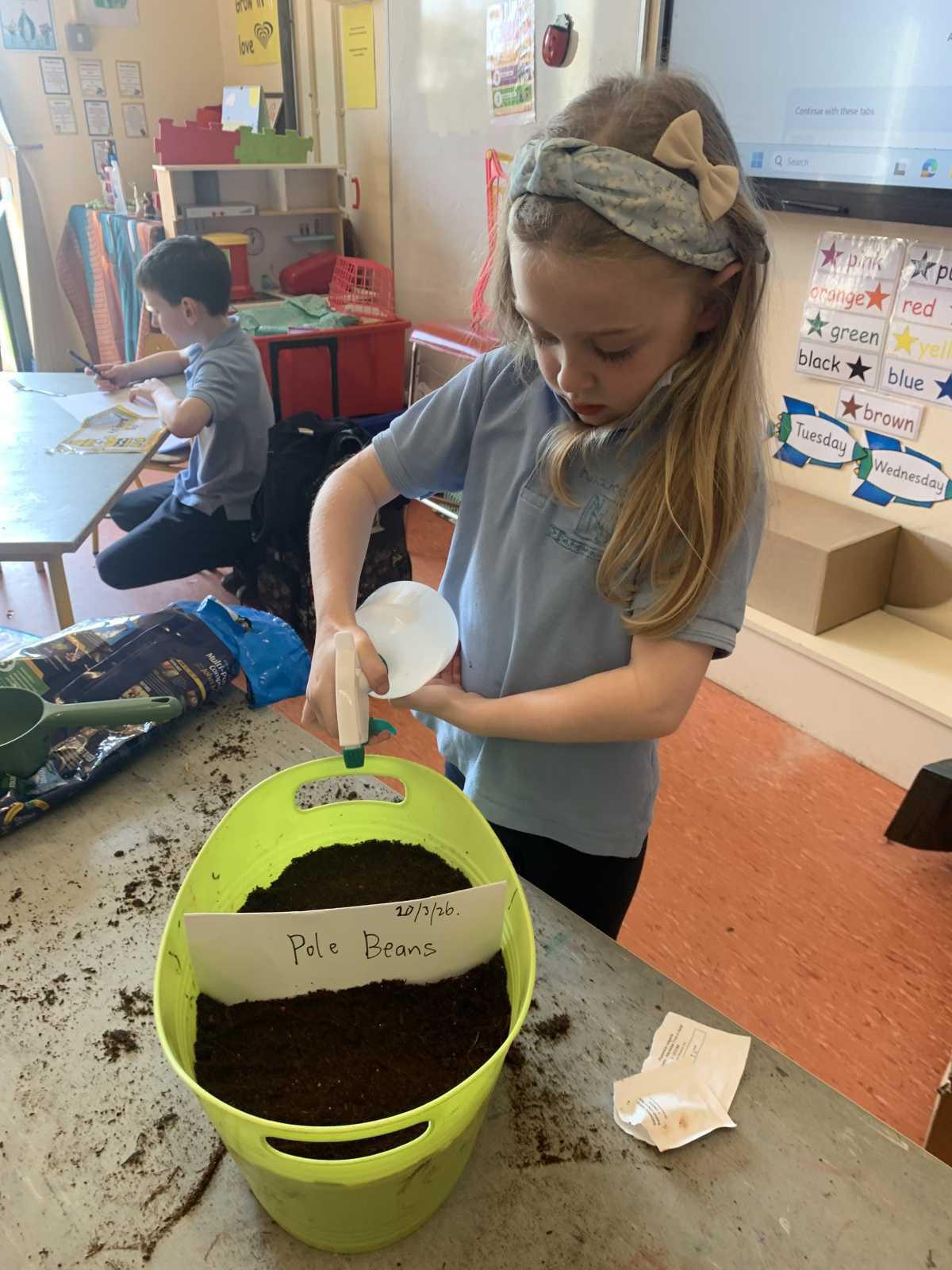 Planting - Fruit and Vegetables Planting - Fruit and Vegetables