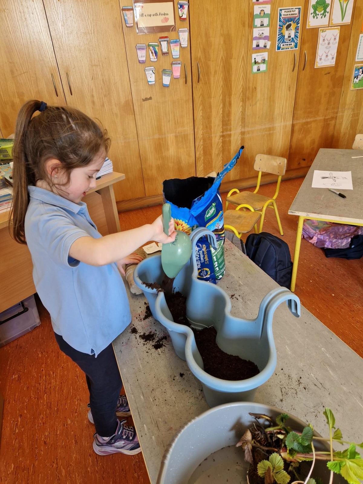 Planting - Fruit and Vegetables Planting - Fruit and Vegetables