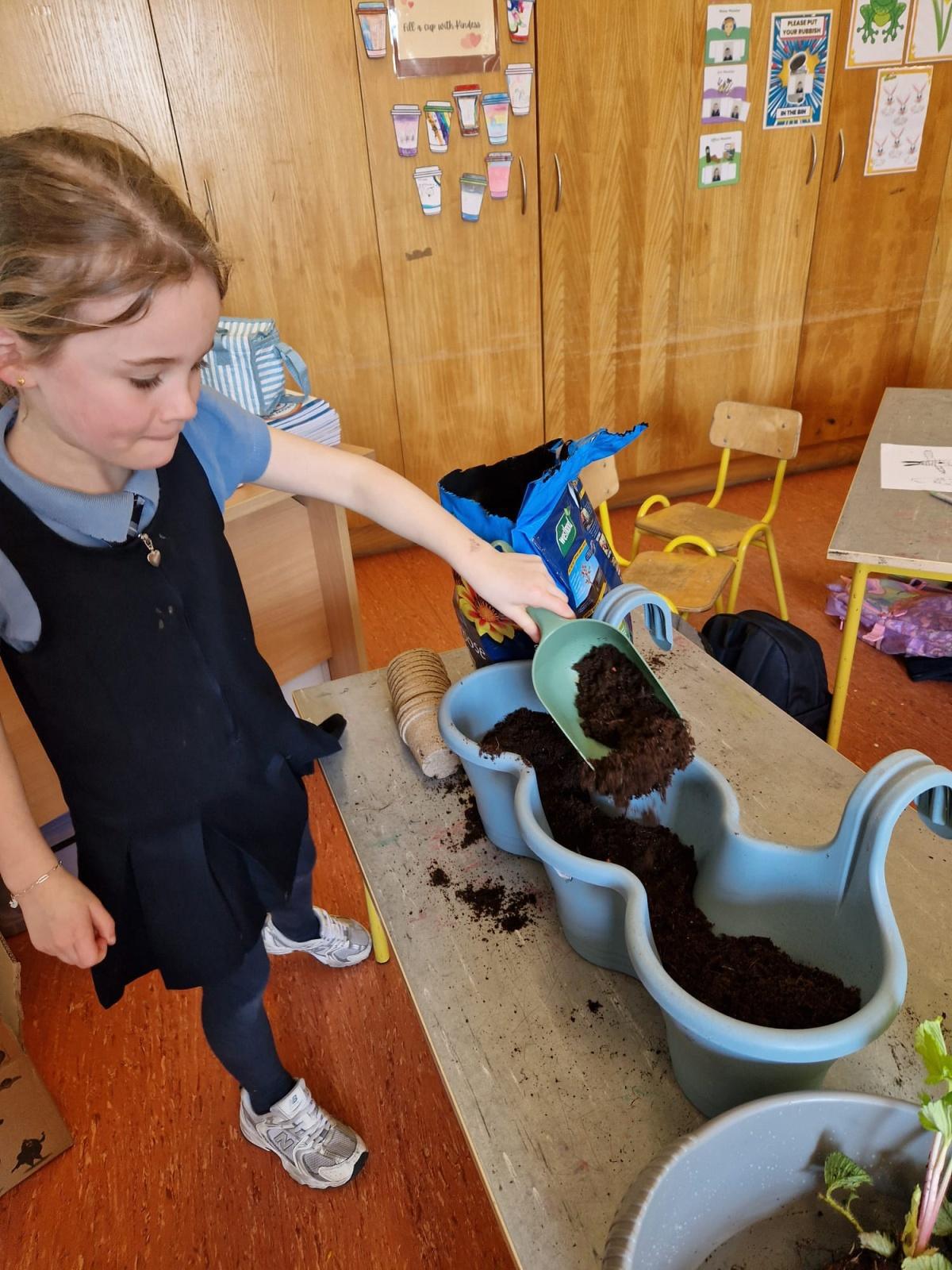 Planting - Fruit and Vegetables 