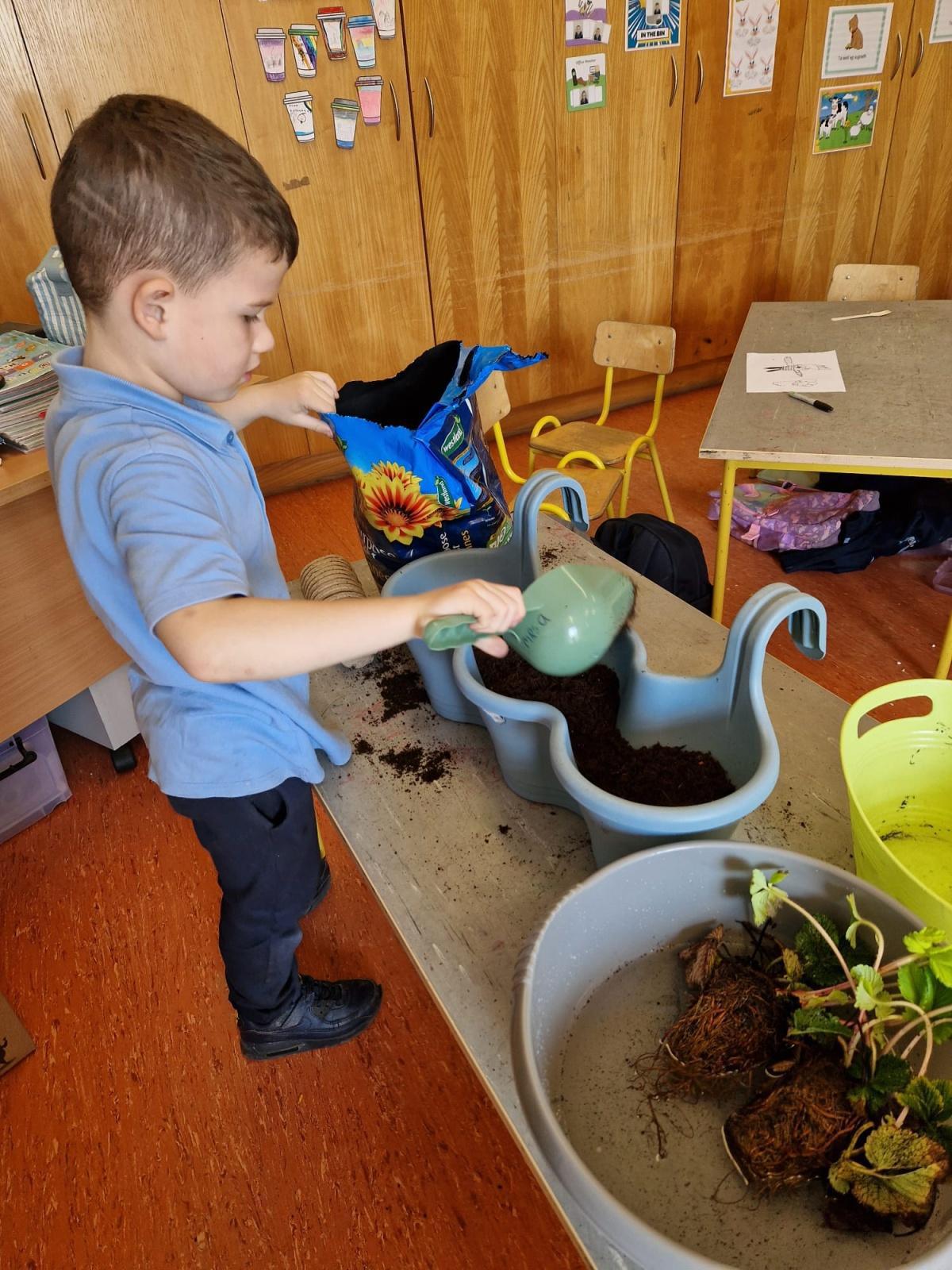 Planting - Fruit and Vegetables 