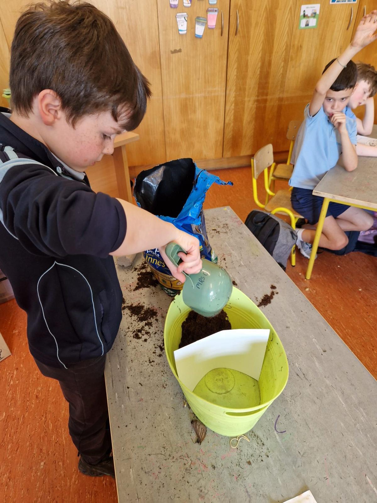 Planting - Fruit and Vegetables 