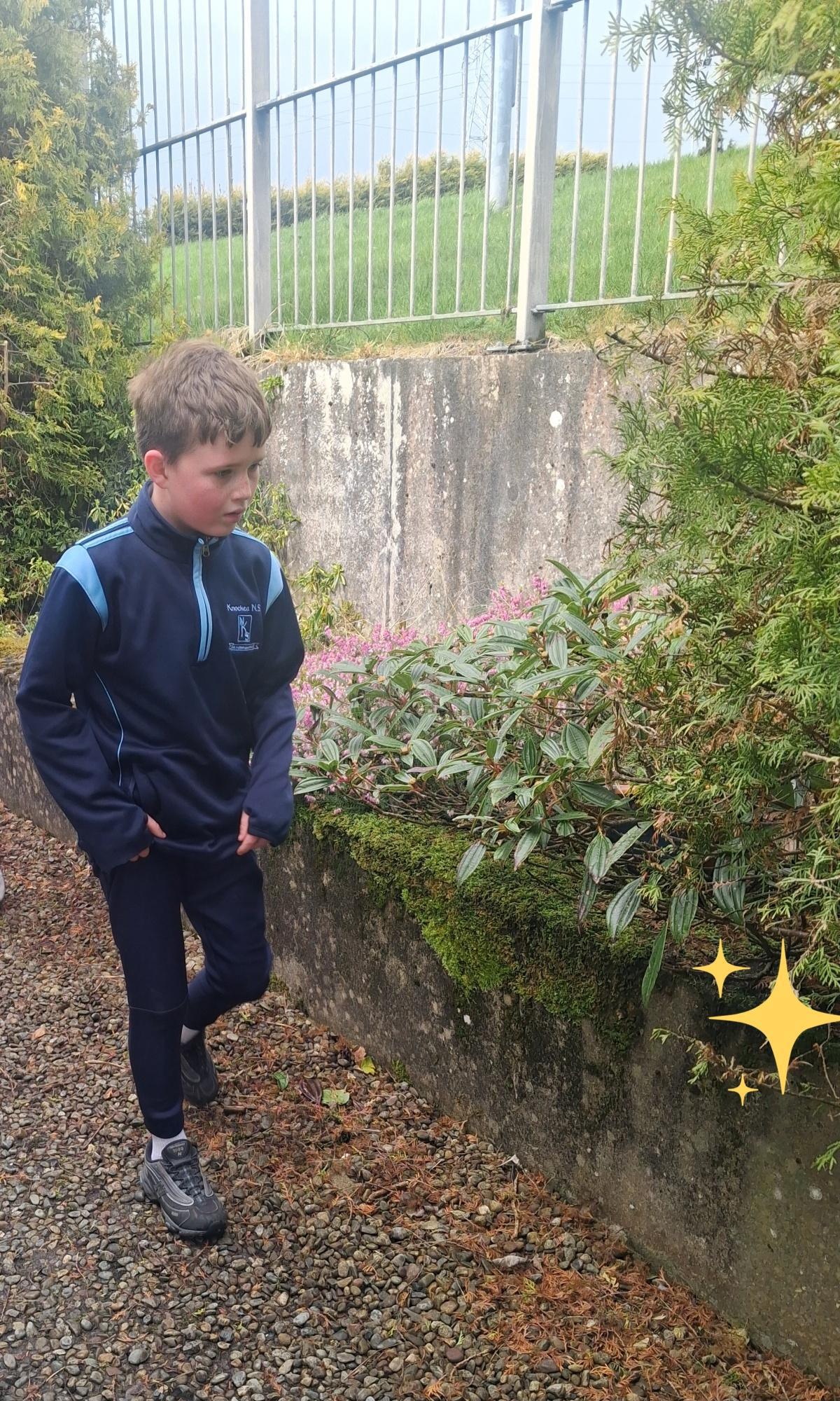 Beannachtaí na Cásca oraibh ó Rang 3