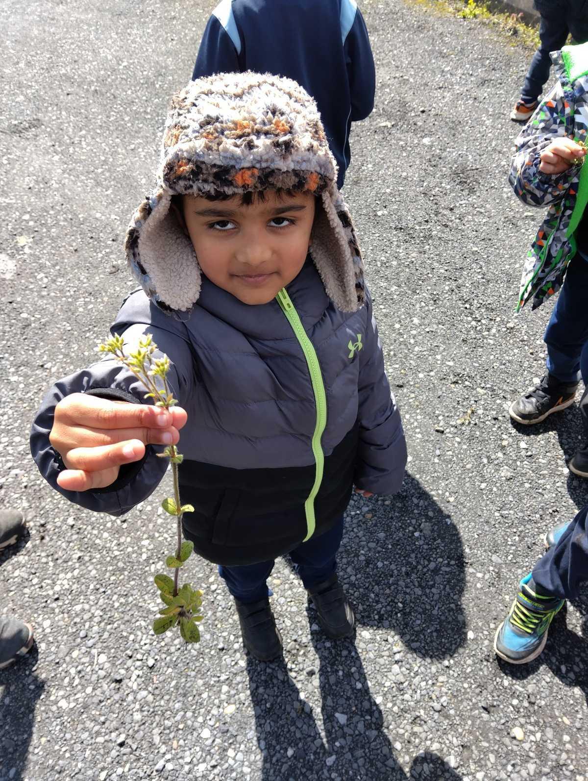 We learned about wild flowers today. We learned about wild flowers today.