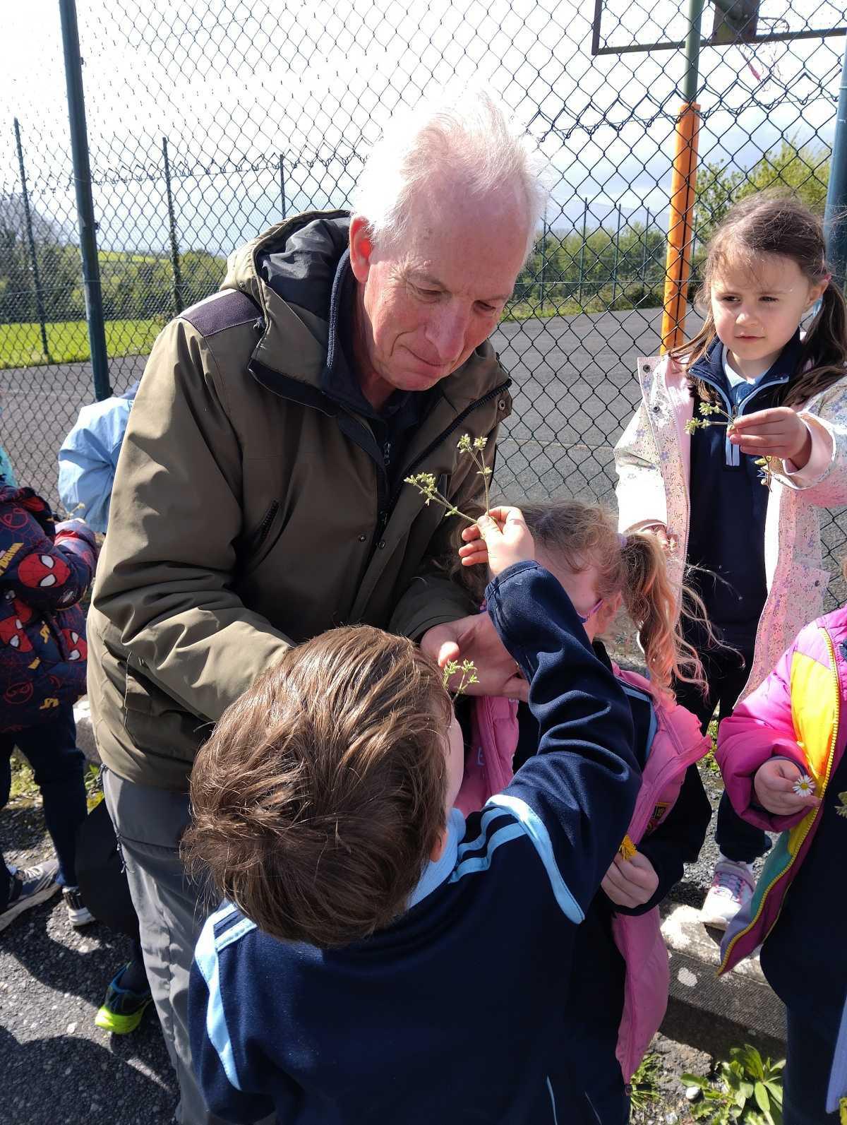 We learned about wild flowers today.