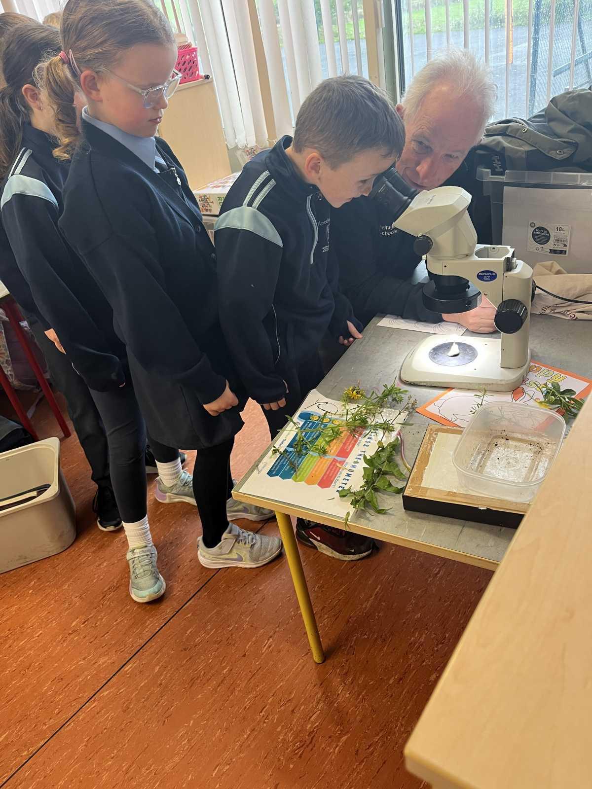 Geoff Hunt -Heritage in Schools Visit -WildFlowers 