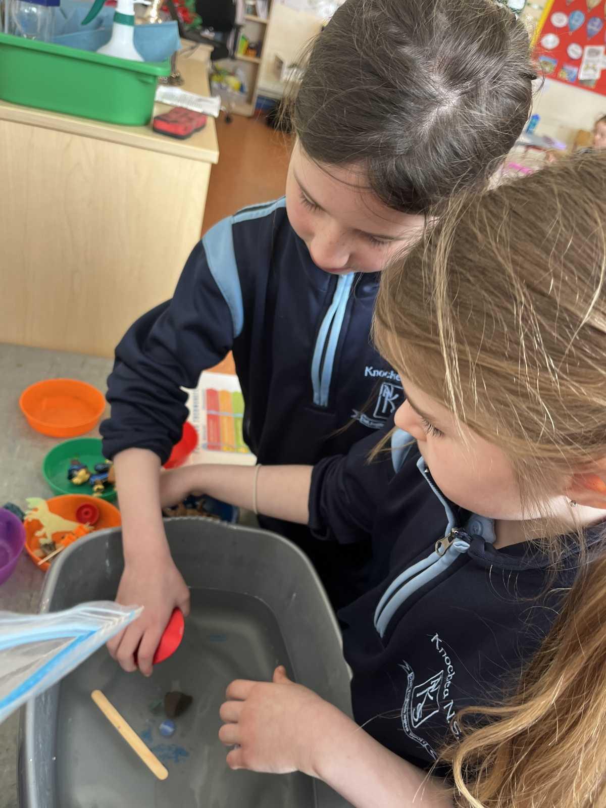  Floating & Sinking Experiment! 