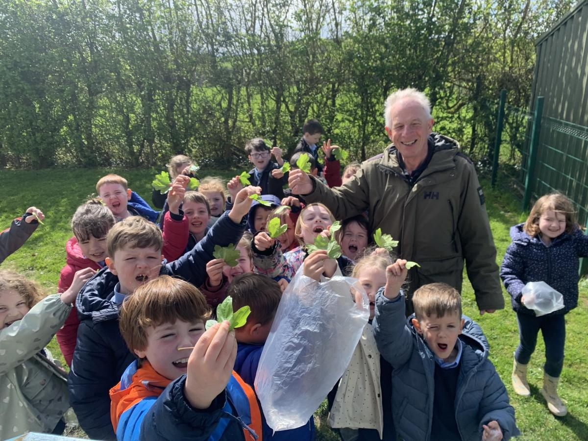 Geoff Hunt - Exploring trees in our school