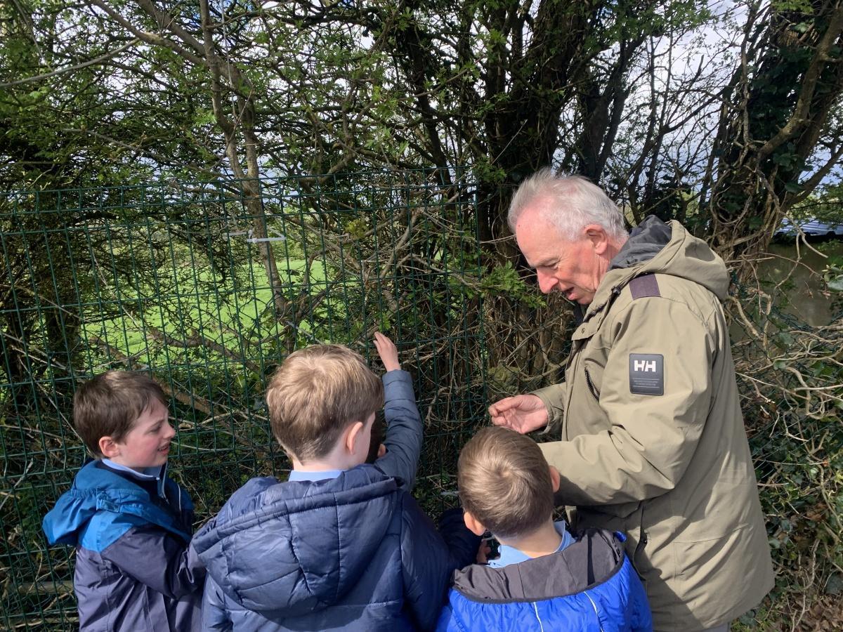 Geoff Hunt - Exploring trees in our school Geoff Hunt - Exploring trees in our school