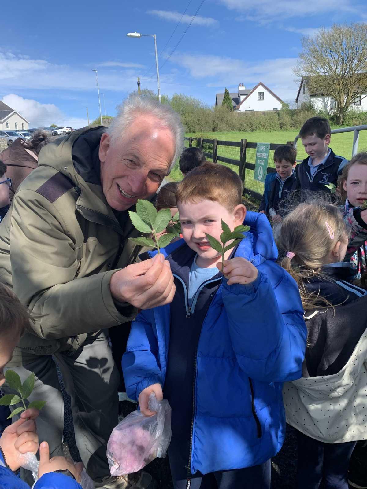Geoff Hunt - Exploring trees in our school