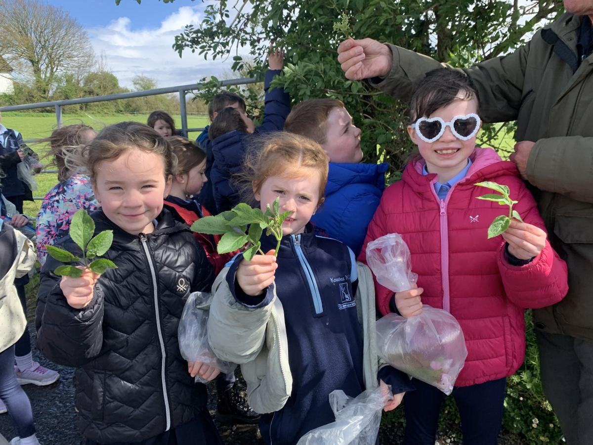 Geoff Hunt - Exploring trees in our school Geoff Hunt - Exploring trees in our school