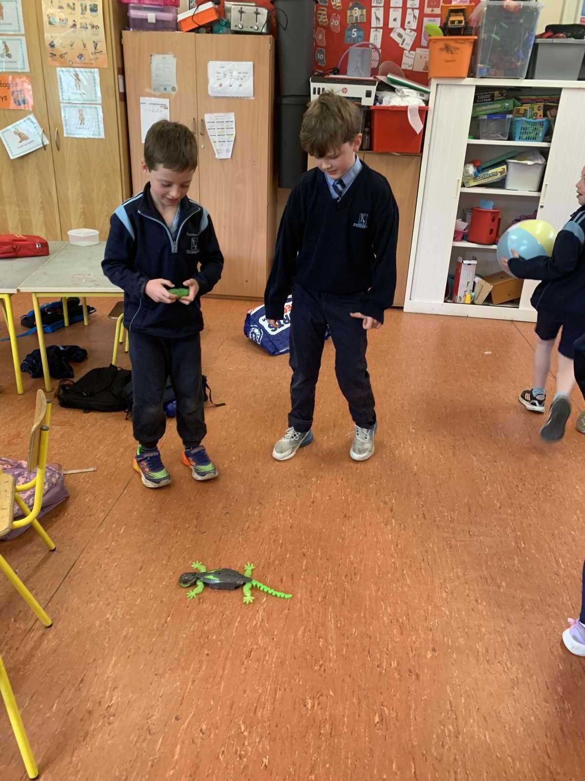 Show and Tell