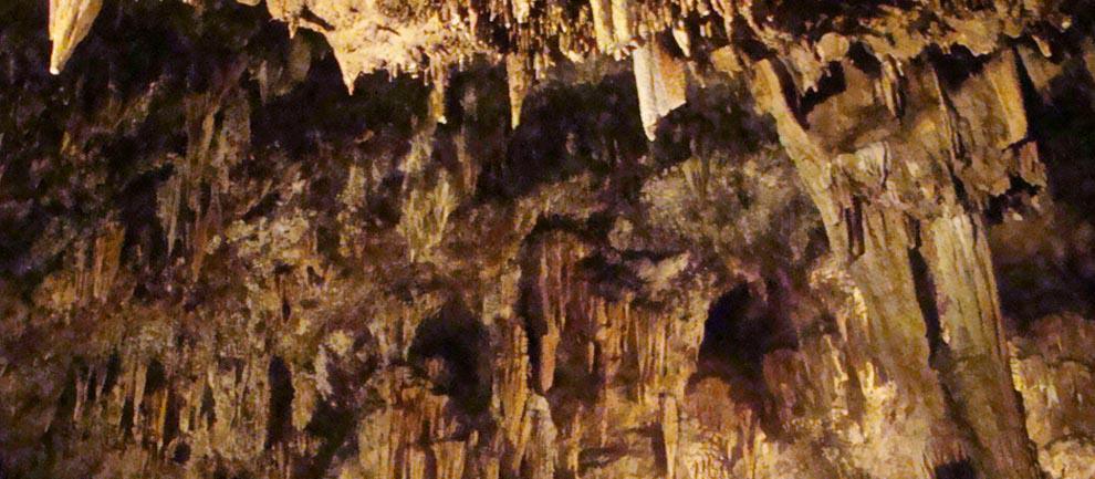 Grutas de Rancho Nuevo Grutas de Rancho Nuevo