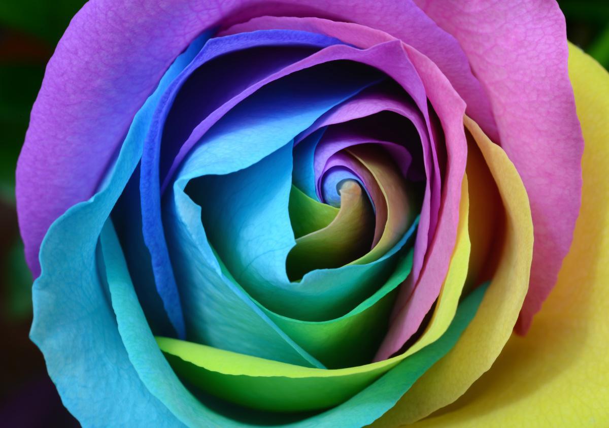 Colorful state