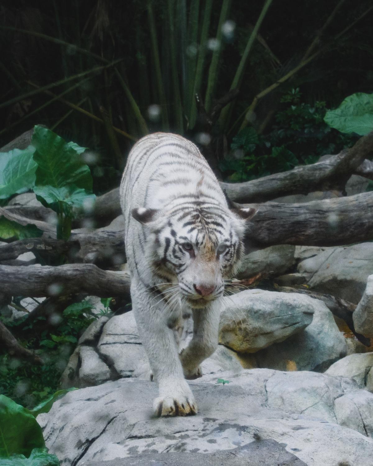 About the app About the app