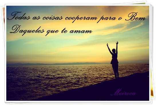 Dia 03 de Dezembro Dia 03 de Dezembro