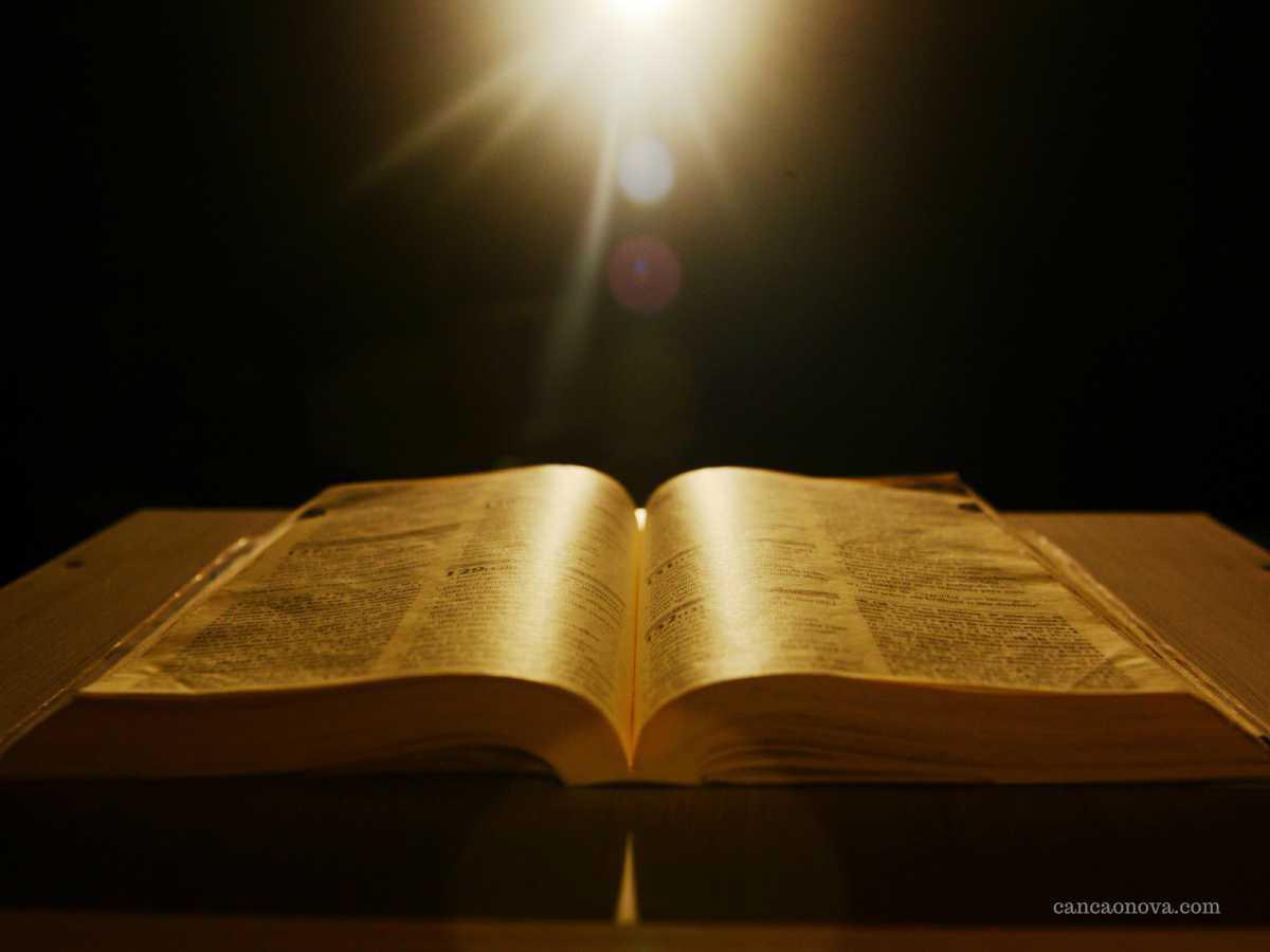 Dia 12 de Dezembro Dia 12 de Dezembro