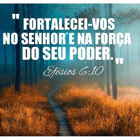 Dia 16 de Janeiro Dia 16 de Janeiro