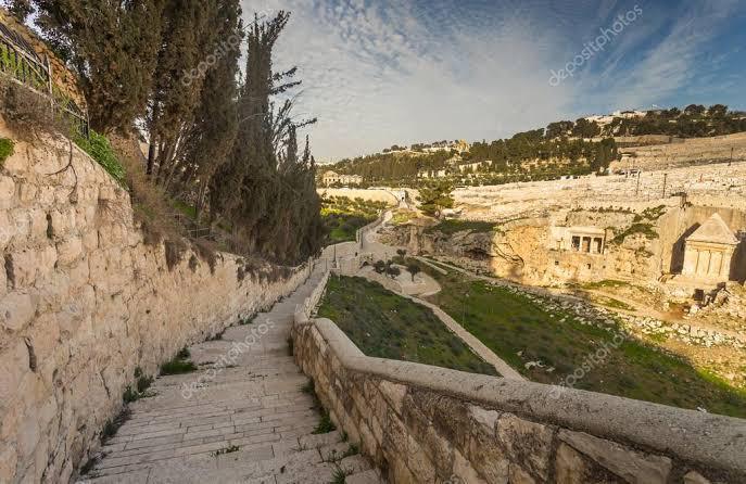 Dia 27 de Janeiro Dia 27 de Janeiro
