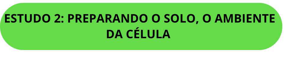 ✍️ Como multiplicar minha célula 