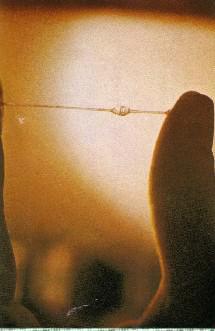 Fertile Ou Infertile L Observation Du Cycle Feminin