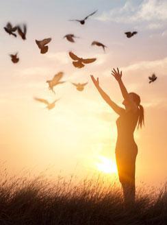 Contempler La Nature C Est Deja Prier