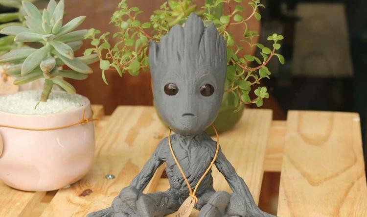 Leve o verde para casa, permita-se sentir a influência positiva das plantas.