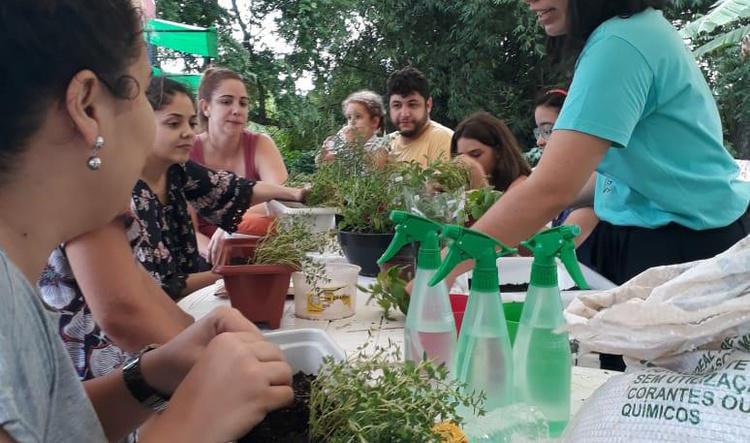 Oficina de Horta em vasos