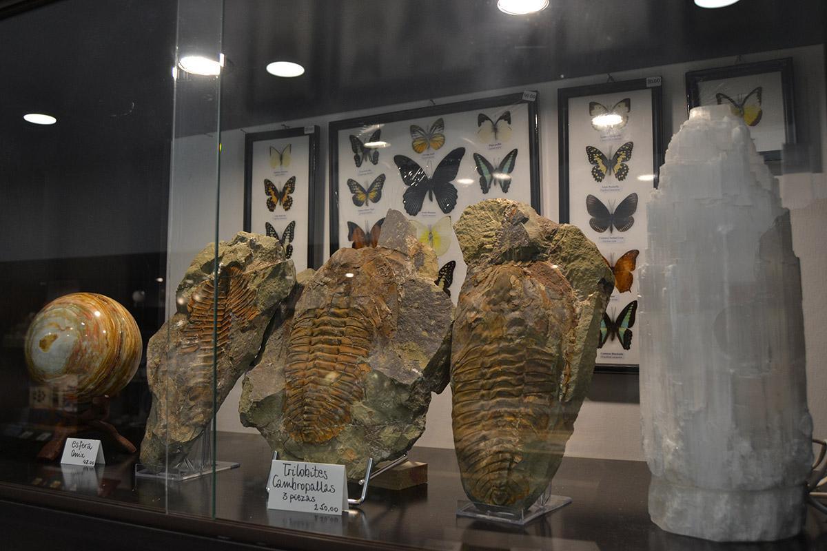 Numismática Filatelia Álvarez