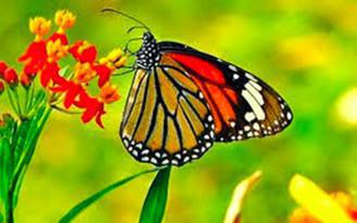 Mati Adalah Keuntungan*) Mati Adalah Keuntungan*)