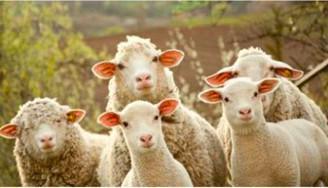 Menyentuh Hati Dengan Kebaikan Menyentuh Hati Dengan Kebaikan