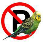 Taat Peraturan Taat Peraturan