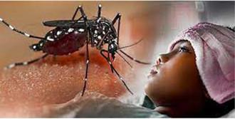 Demam Berdarah Bisa Dicegah Demam Berdarah Bisa Dicegah