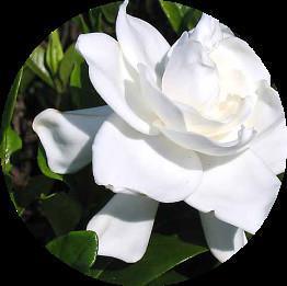 God’s Ways of Directing His Children’s Lives God’s Ways of Directing His Children’s Lives