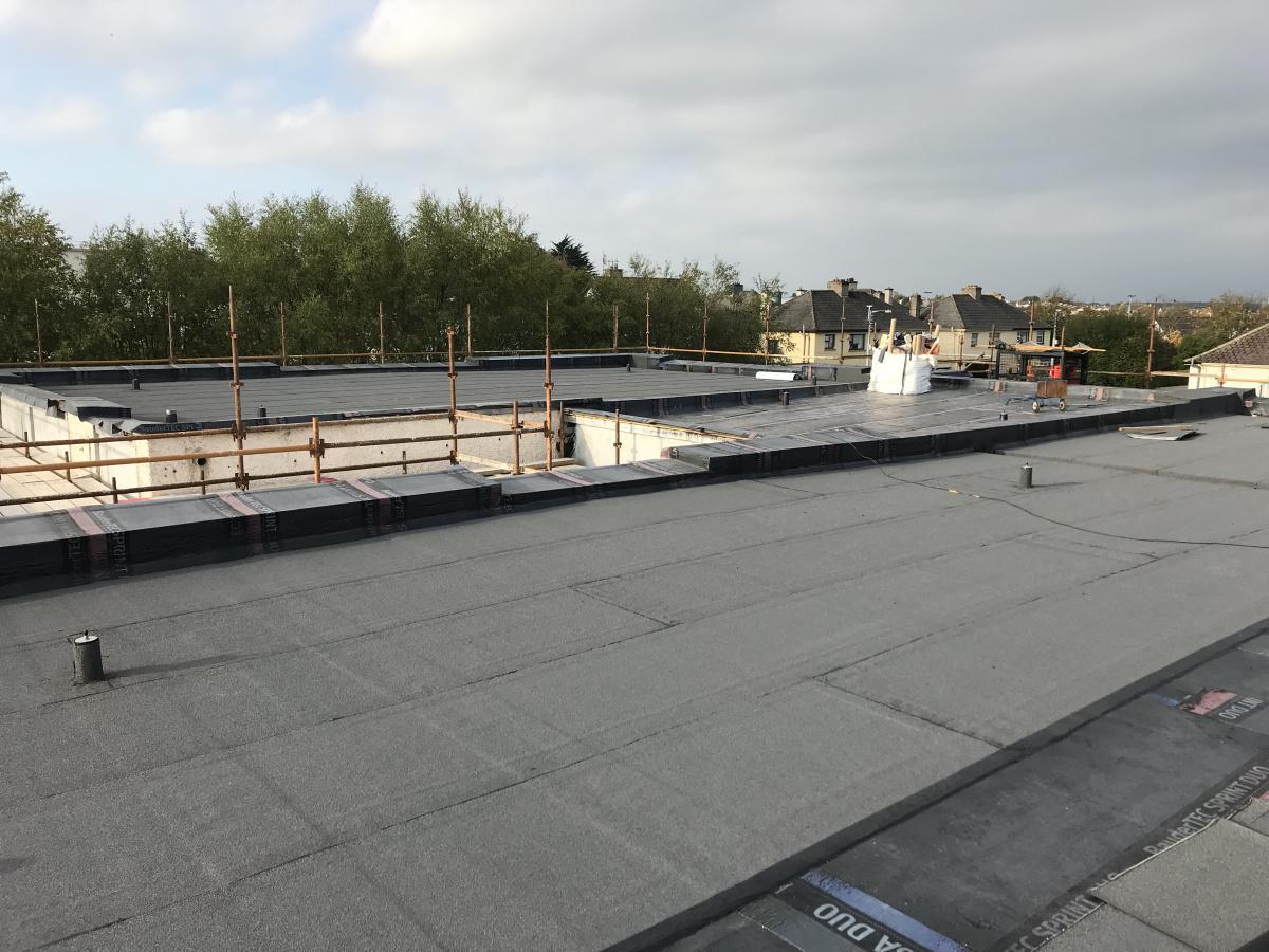 New School Project New School Project