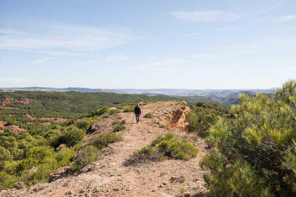 MUNIESA EN EL HERALDO. VIDEO Y FOTOGRAFÍAS MUNIESA EN EL HERALDO. VIDEO Y FOTOGRAFÍAS