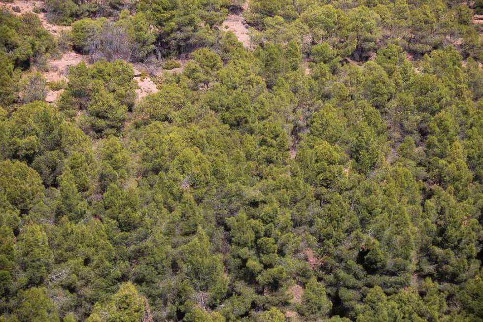 MUNIESA EN EL HERALDO. VIDEO Y FOTOGRAFÍAS MUNIESA EN EL HERALDO. VIDEO Y FOTOGRAFÍAS