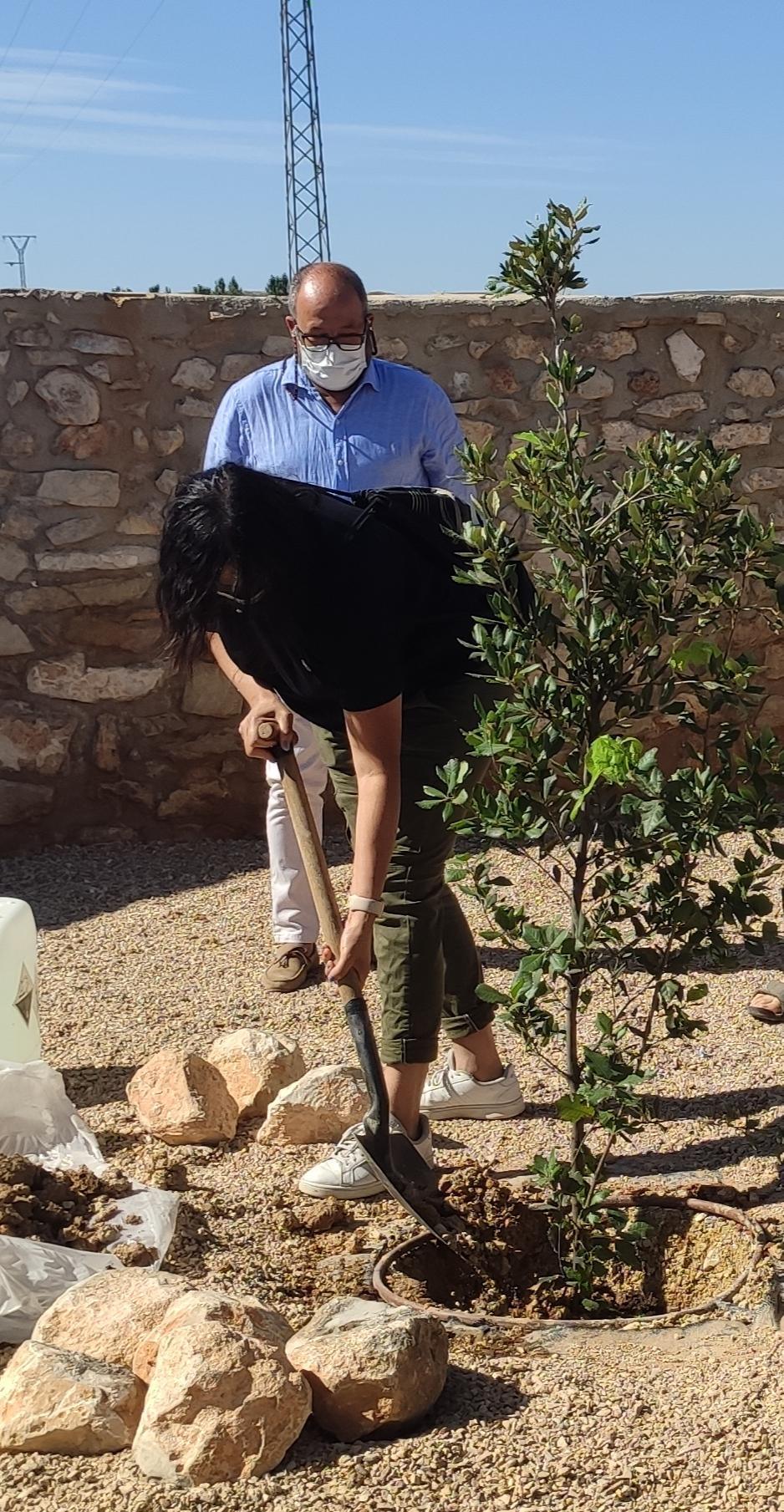 MUNIESA. IRANZO Y EL BOSQUE DE LOS EDITORES MUNIESA. IRANZO Y EL BOSQUE DE LOS EDITORES