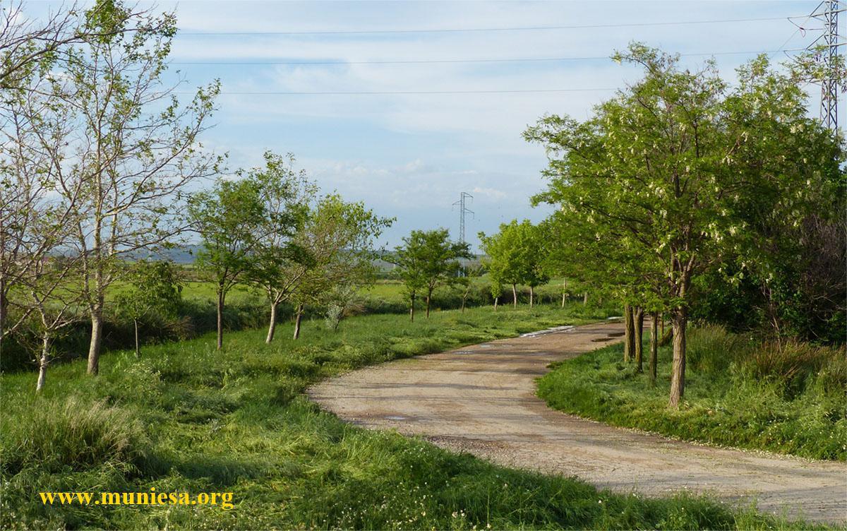 MUNIESA CAMINA. ANDADA PARA TODOS. RUTA 06